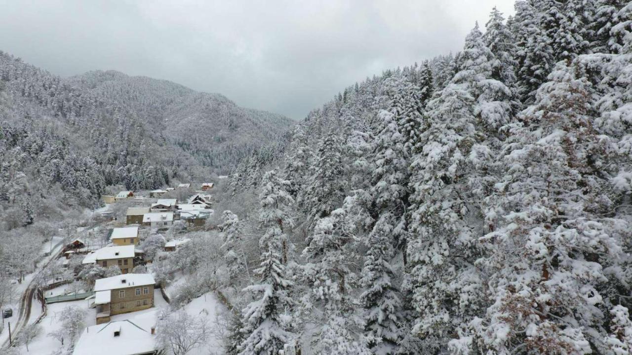 Serenity Likani Villa Hotel Borjomi Eksteriør bilde