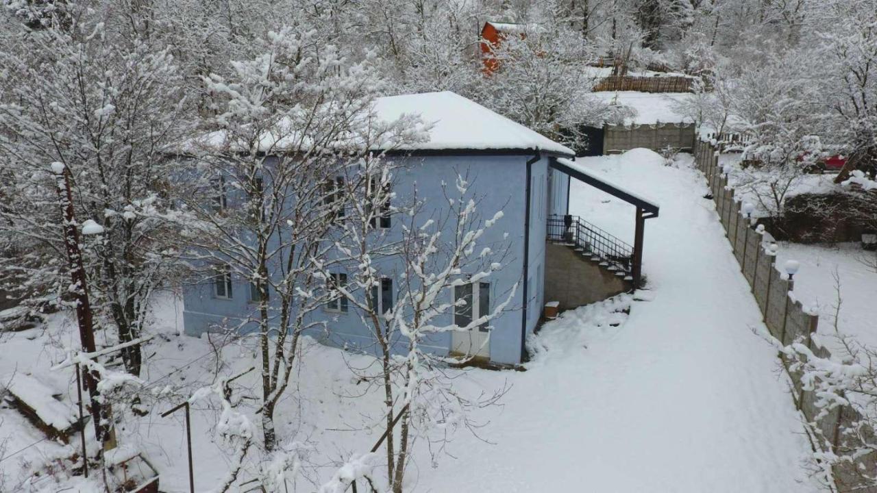 Serenity Likani Villa Hotel Borjomi Eksteriør bilde