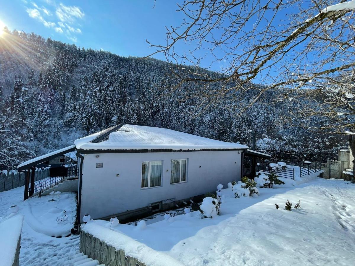 Serenity Likani Villa Hotel Borjomi Eksteriør bilde