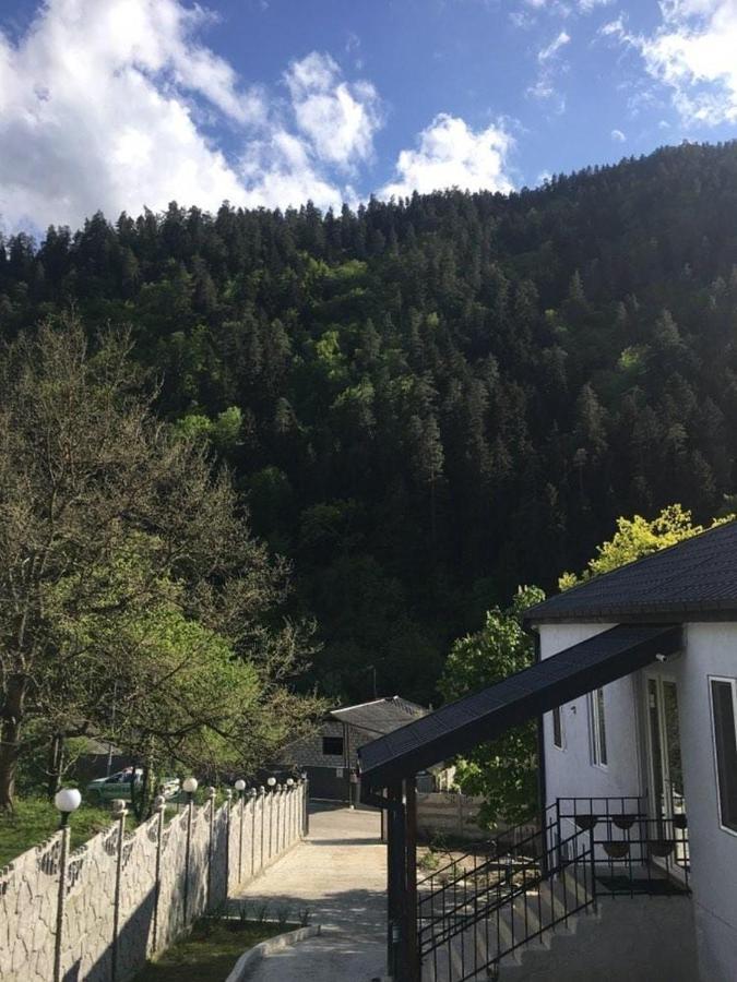 Serenity Likani Villa Hotel Borjomi Eksteriør bilde