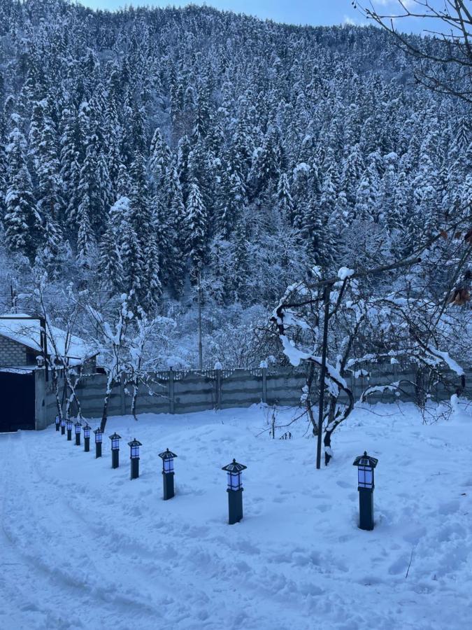 Serenity Likani Villa Hotel Borjomi Eksteriør bilde