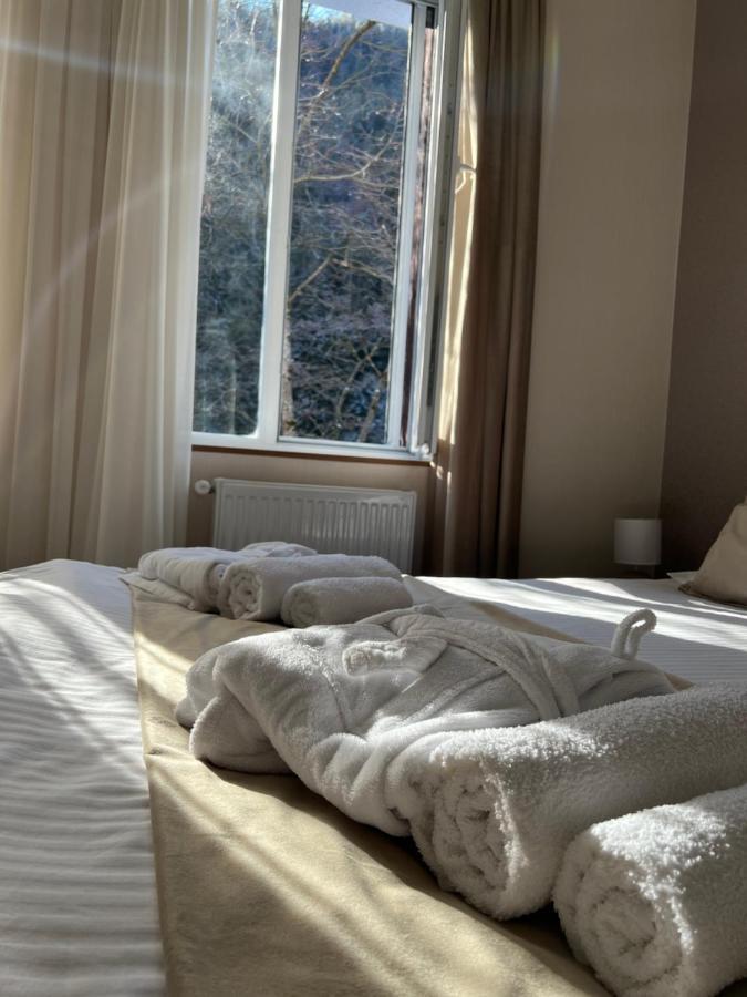Serenity Likani Villa Hotel Borjomi Eksteriør bilde